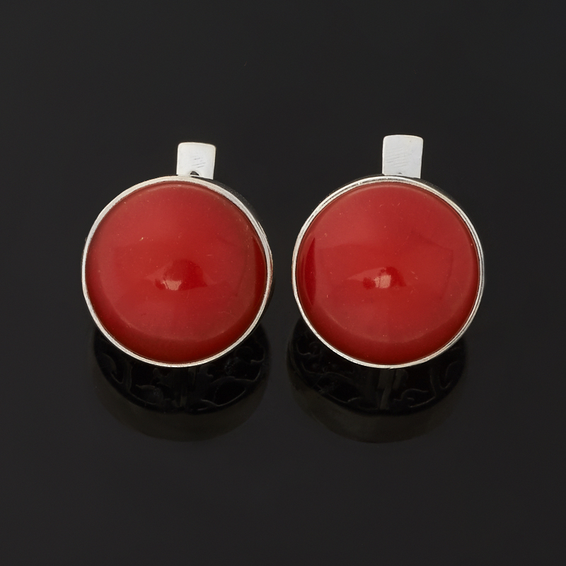Серьги коралл красный (серебро 925 пр. оксидир.)
Серьги коралл красный (серебро 925 пр. оксидир.)
