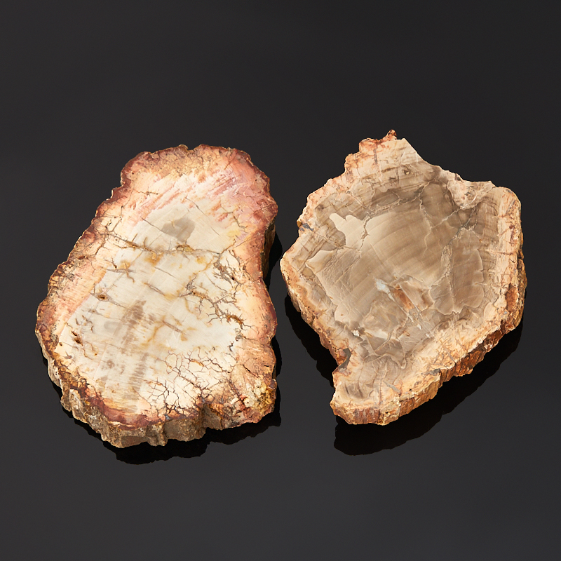 Окаменелость окаменелое дерево M (7-12 см) (1 шт)
Окаменелость окаменелое дерево M (7-12 см) (1 шт)