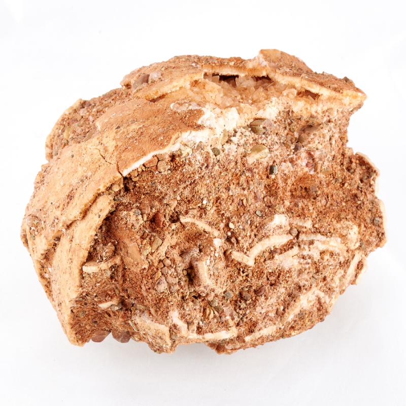 Окаменелость яйцо динозавра (фрагмент) Монголия M 9х9х13&nbsp;см 