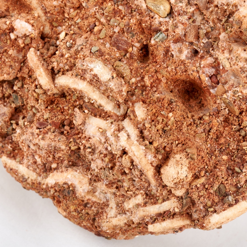 Окаменелость яйцо динозавра (фрагмент) Монголия M 9х9х13&nbsp;см 