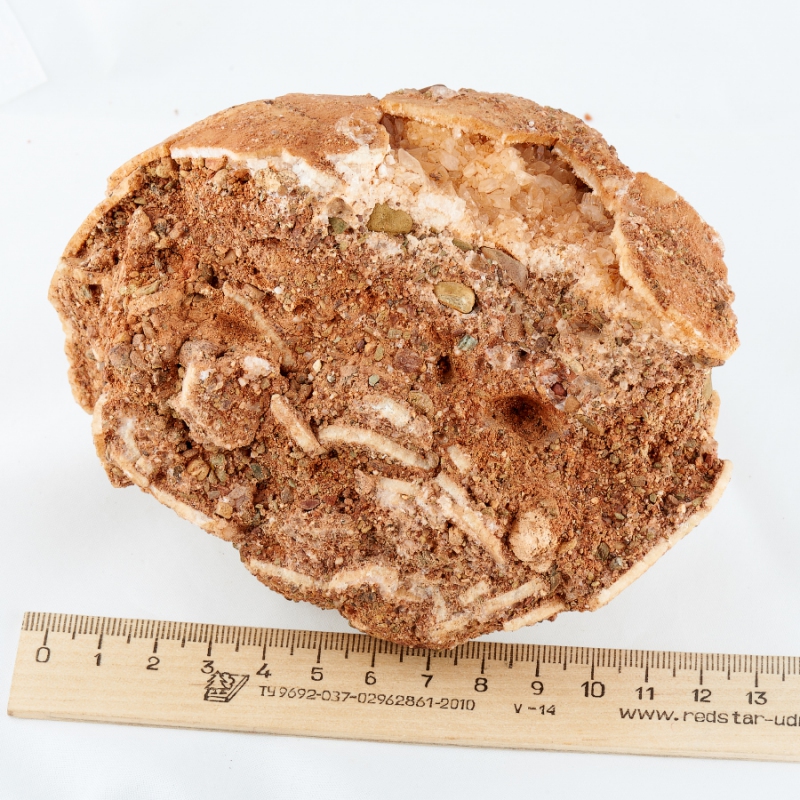 Окаменелость яйцо динозавра (фрагмент) Монголия M 9х9х13&nbsp;см 