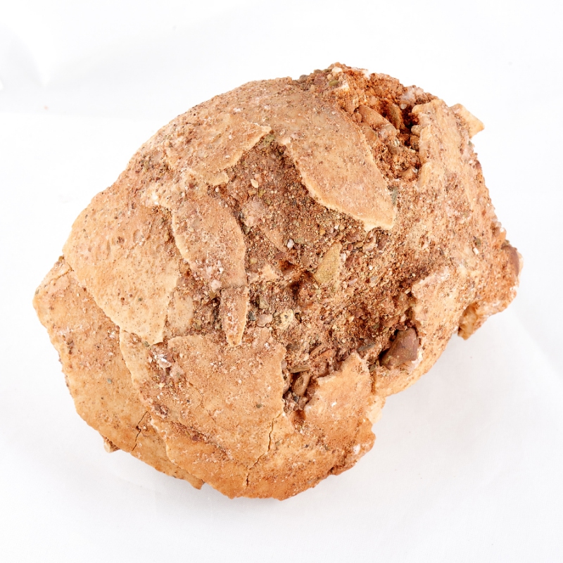 Окаменелость яйцо динозавра (фрагмент) Монголия M 9х9х13&nbsp;см 