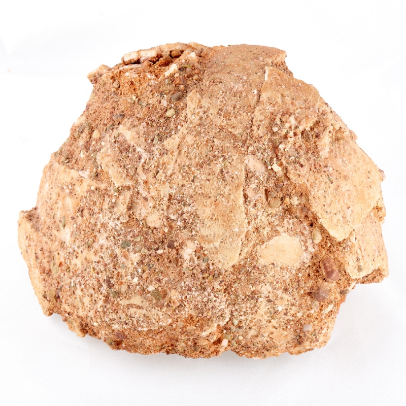 Окаменелость яйцо динозавра (фрагмент) Монголия M 9х9х13&nbsp;см 