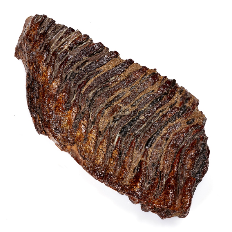 Зуб мамонта (распиленная пара) Россия XXL (от 20&nbsp;см)