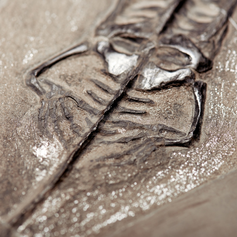 Слепок динозавра Keichousaurus hui Китай (от 20&nbsp;см) 