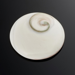 Кабошон окаменелая морская раковина Мадагаскар 29 мм