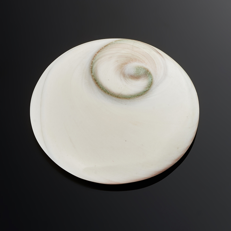 Кабошон окаменелая морская раковина Мадагаскар 29&nbsp;мм