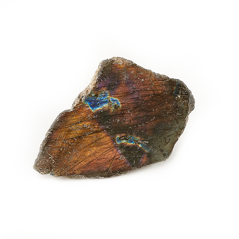 

Срез лабрадор S