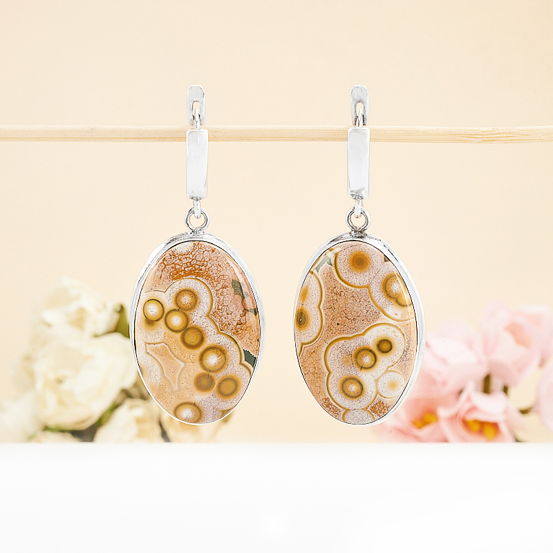 

Серьги агат (серебро 925 пр.)