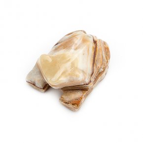 Лягушка оникс мраморный Пакистан 6,5-7 см