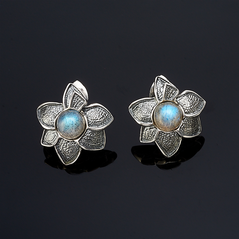 

Серьги лабрадор (серебро 925 пр.)