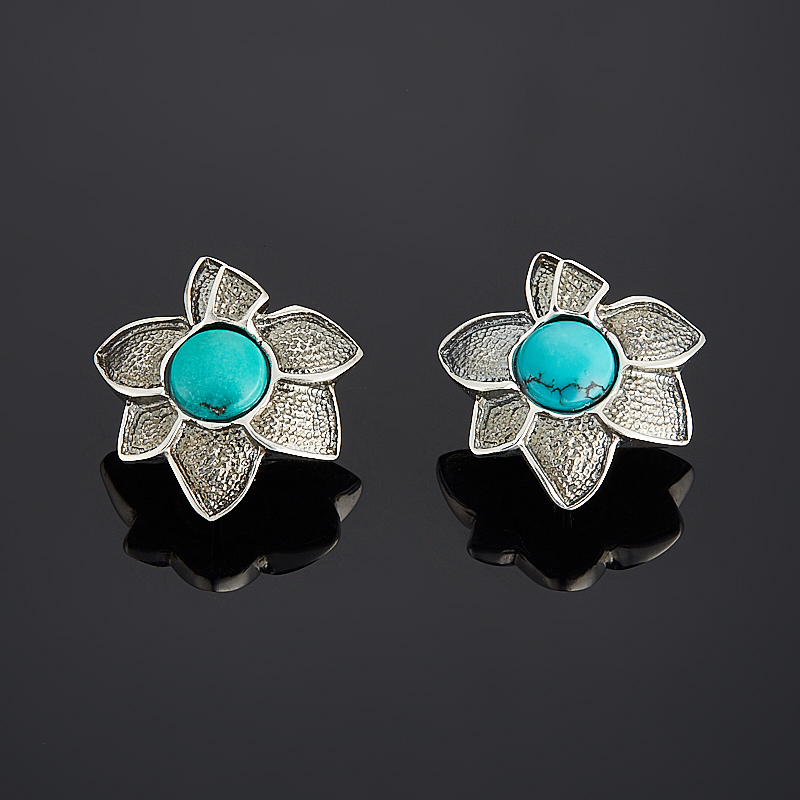 

Серьги бирюза (серебро 925 пр.)