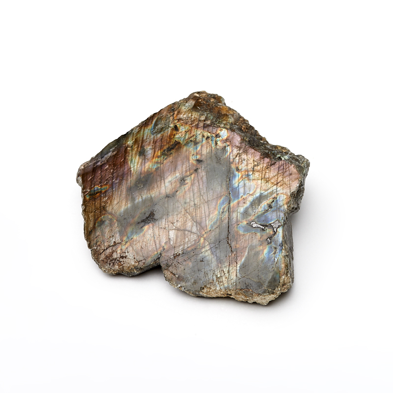 

Срез лабрадор S