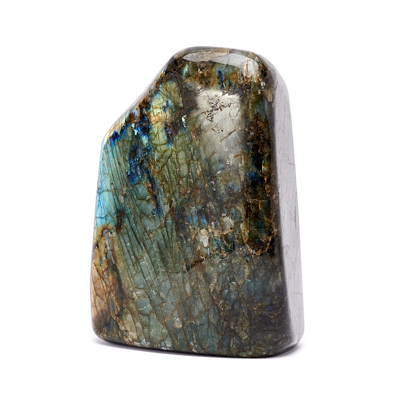 

Стела лабрадор XL