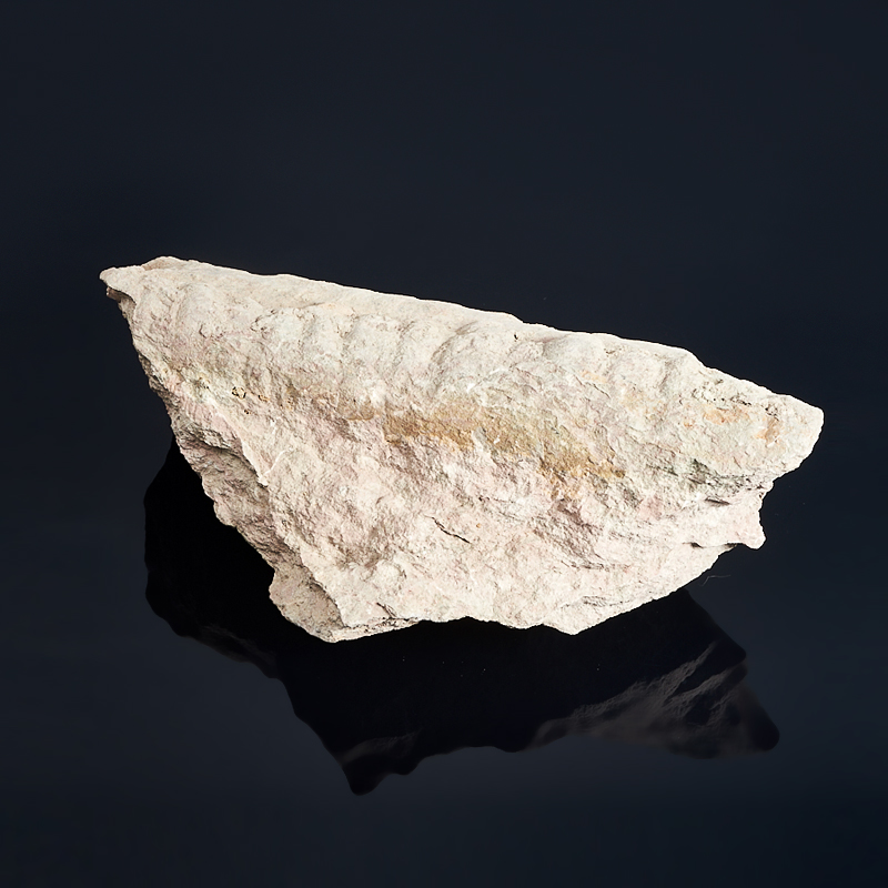 

Окаменелость в породе (фрагмент) XL