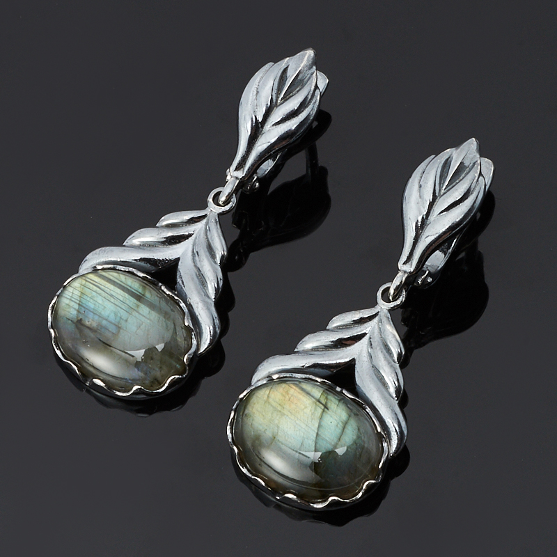 

Серьги лабрадор (серебро 925 пр.)