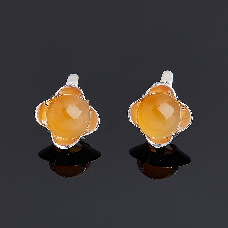 

Серьги сердолик (серебро 925 пр.)