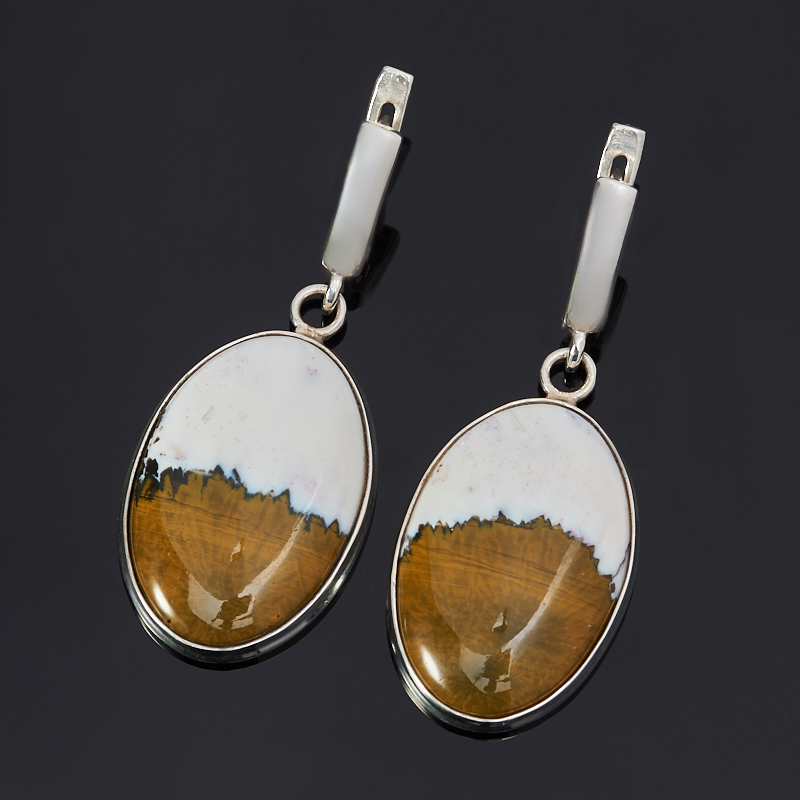 

Серьги агат (серебро 925 пр.)
