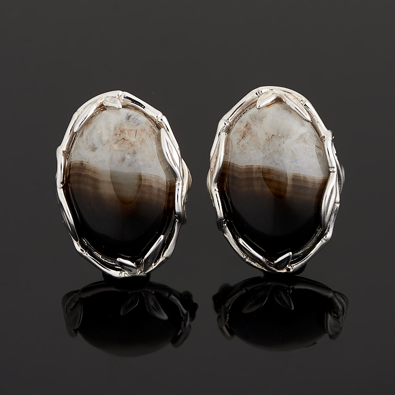 

Серьги агат черный (серебро 925 пр.)