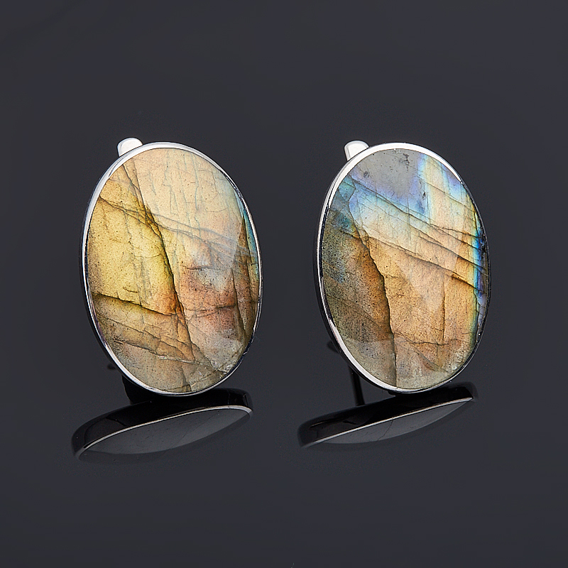 

Серьги лабрадор (серебро 925 пр.)