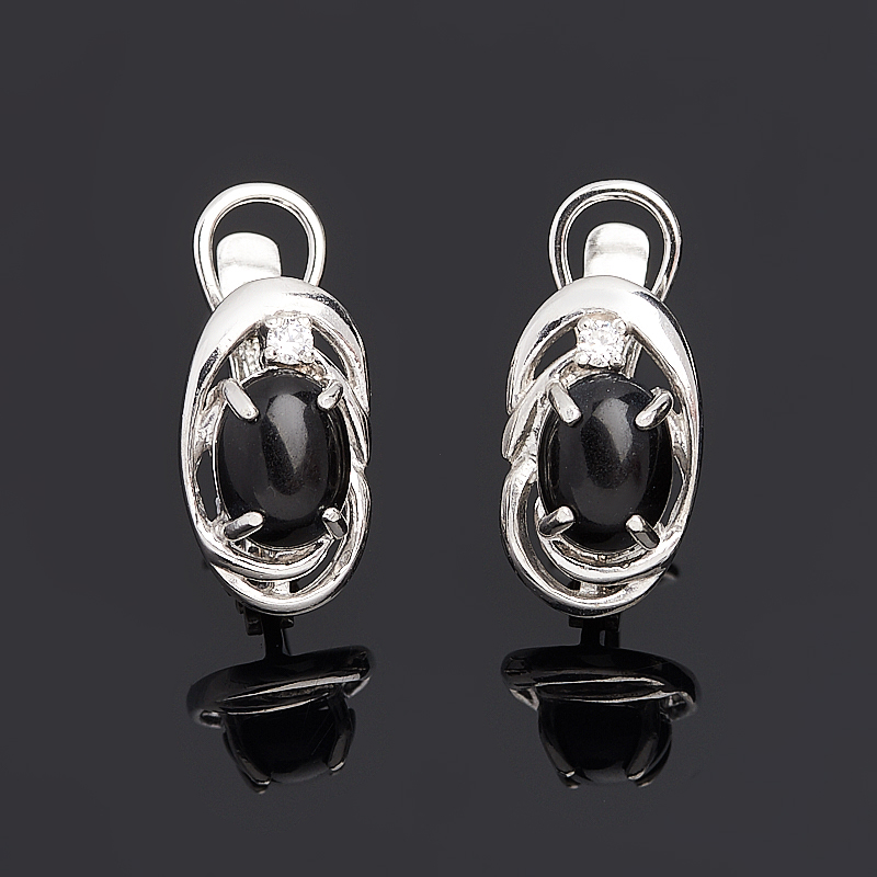 

Серьги агат черный (серебро 925 пр.)