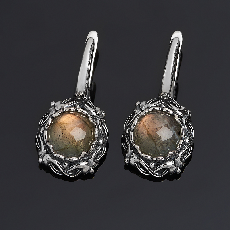 

Серьги лабрадор (серебро 925 пр. оксидир.)