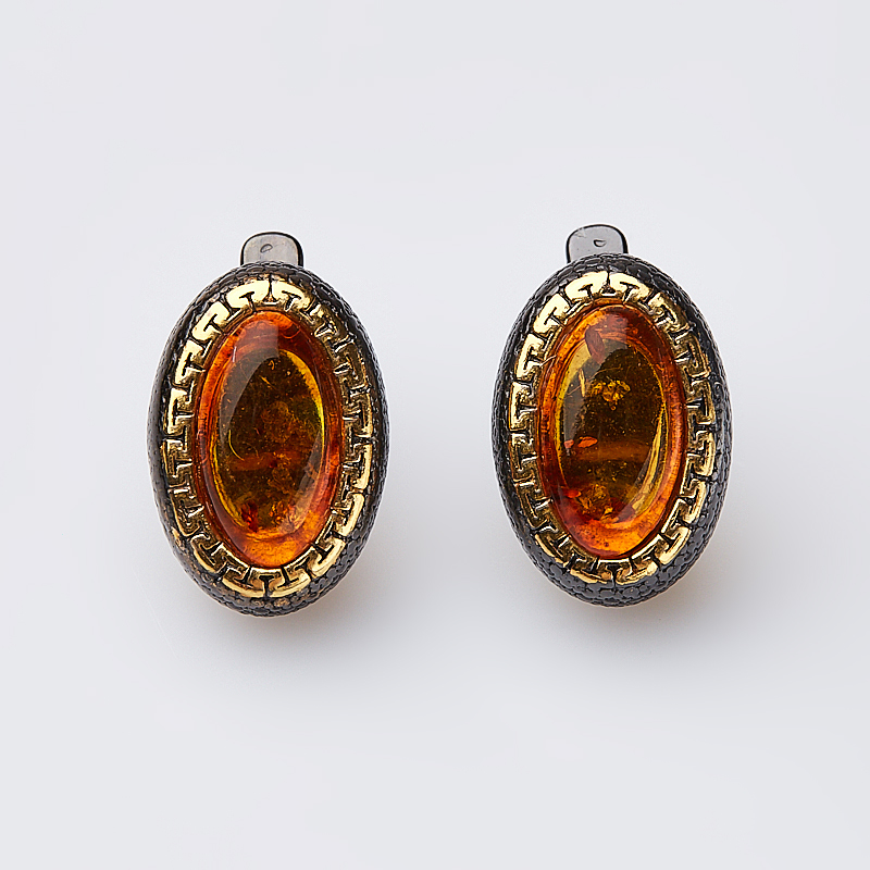 

Серьги янтарь (серебро 925 пр. позолота, родир. черн.)