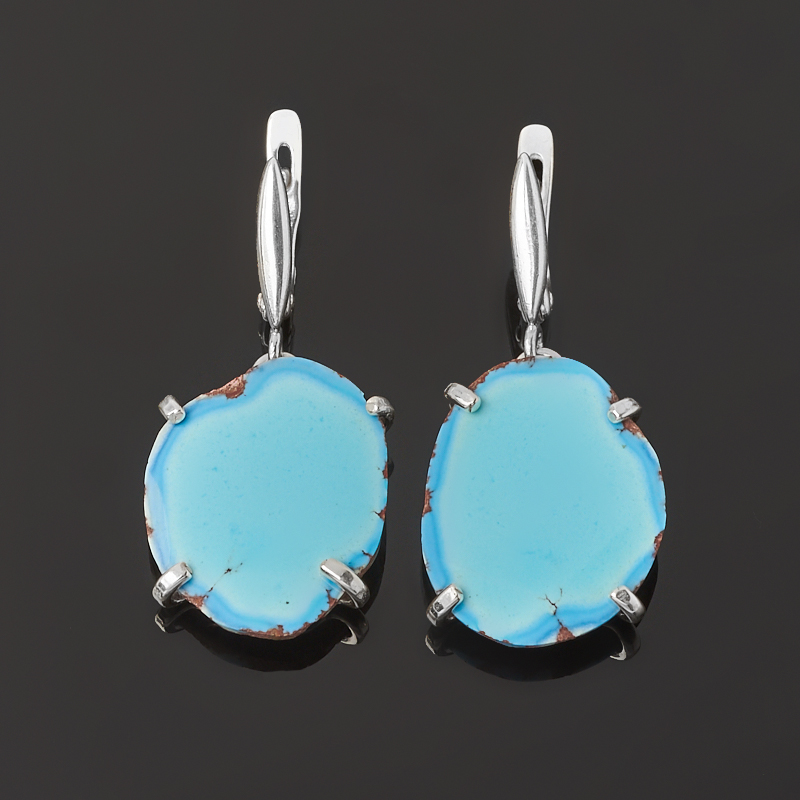 

Серьги бирюза (серебро 925 пр.)