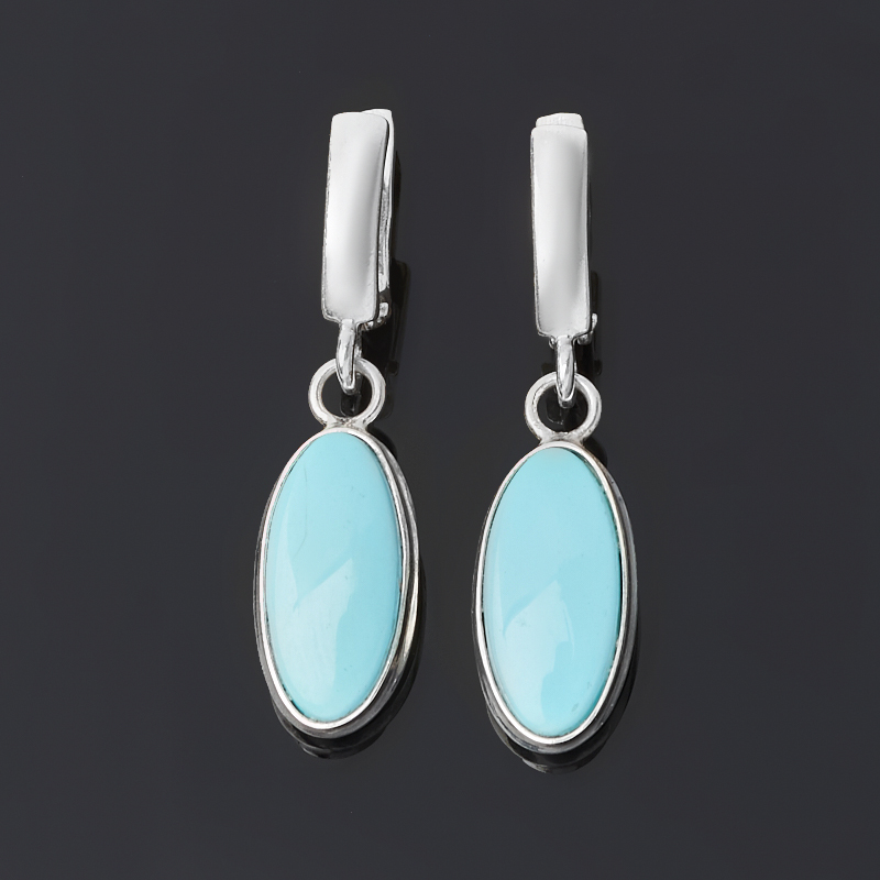 

Серьги бирюза (серебро 925 пр.)