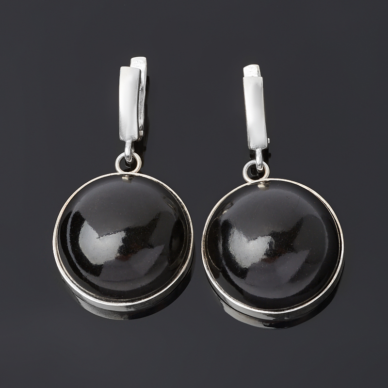 

Серьги гагат (серебро 925 пр.)