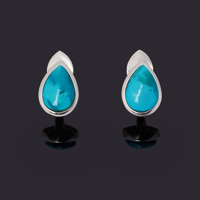 

Серьги бирюза (серебро 925 пр.)