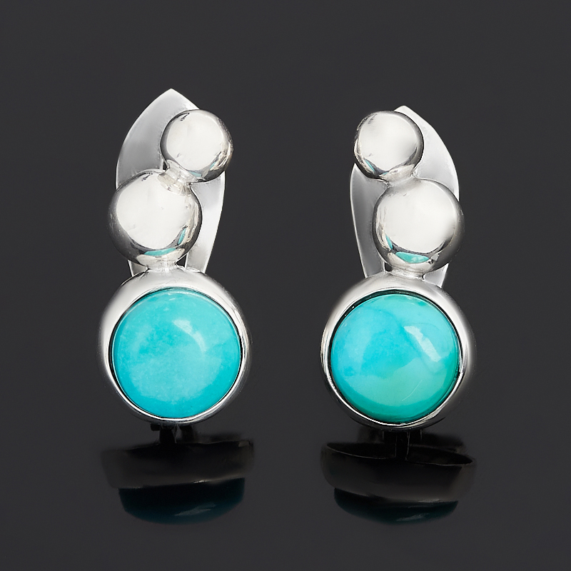 

Серьги бирюза (серебро 925 пр.)