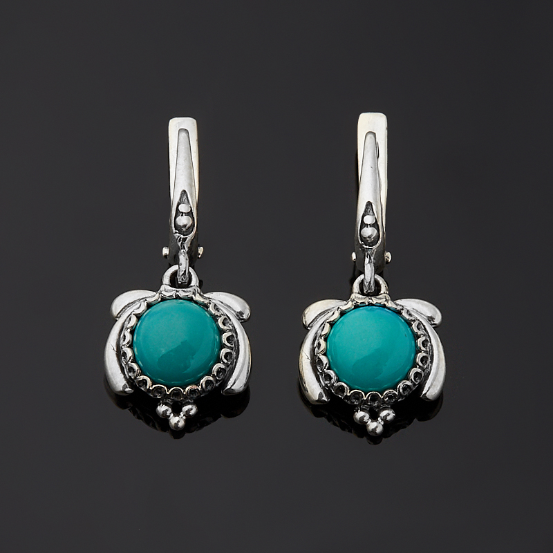 

Серьги бирюза (серебро 925 пр. оксидир.)