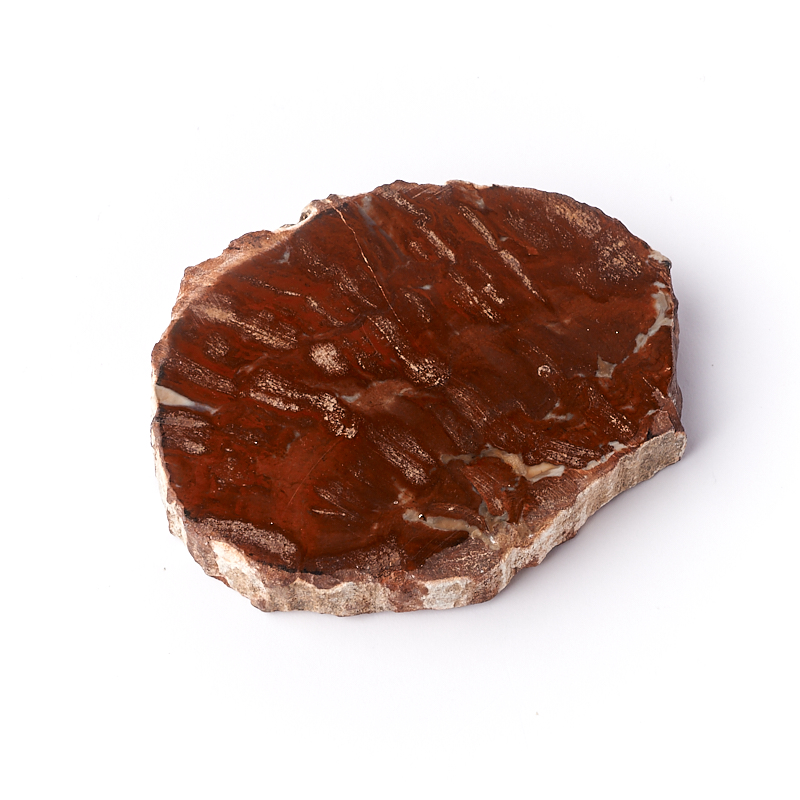 

Окаменелость окаменелое дерево S (4-7 см)