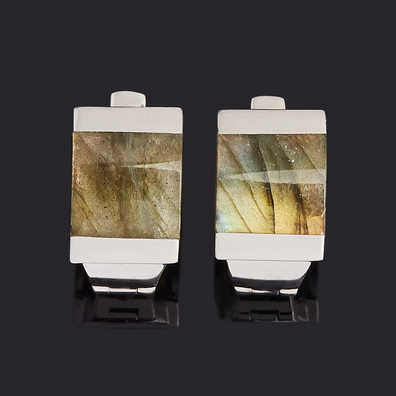 

Серьги лабрадор (серебро 925 пр. родир. бел.)