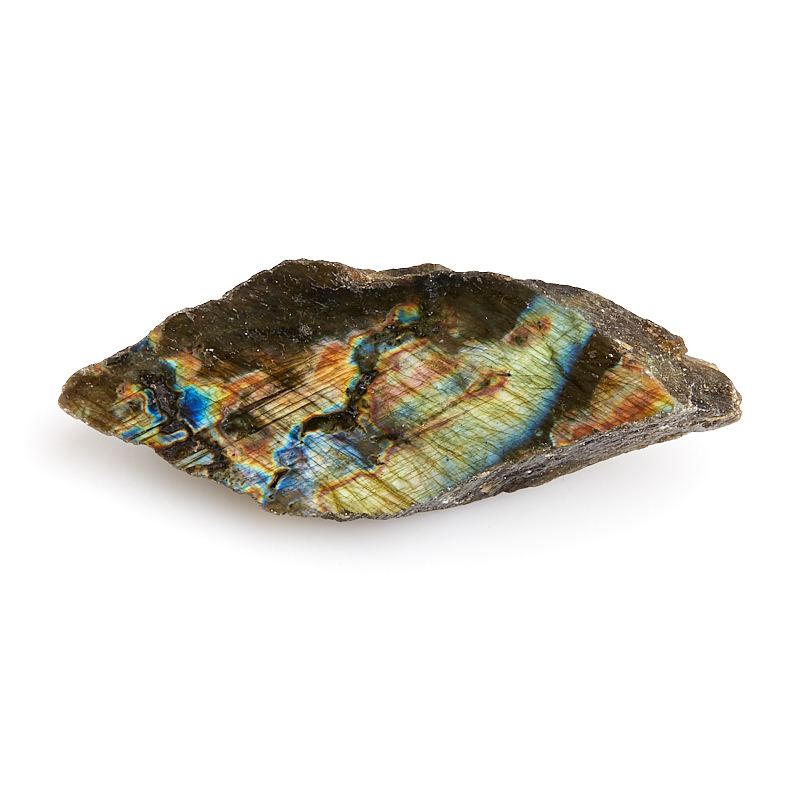 

Образец лабрадор M (7-12 см)