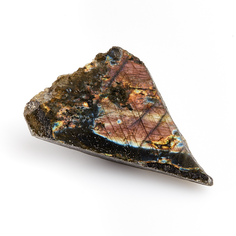 

Образец лабрадор M (7-12 см)