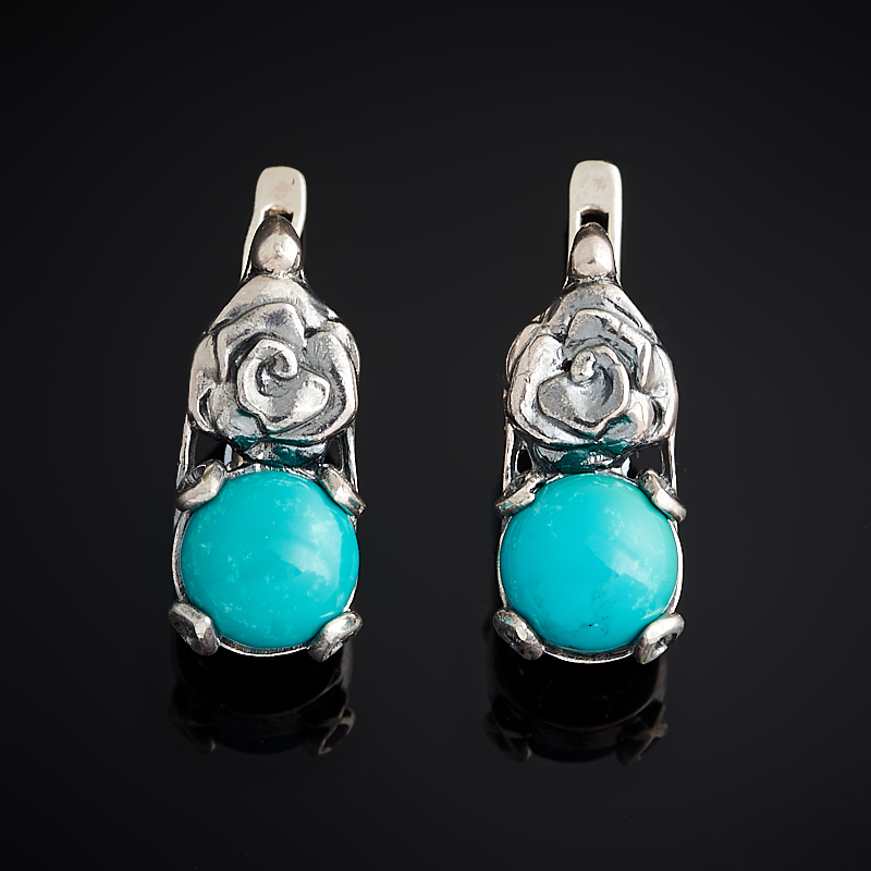 

Серьги бирюза (серебро 925 пр. оксидир.)