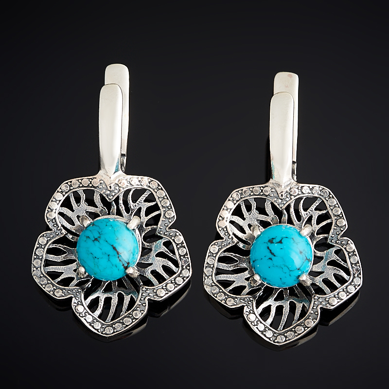 

Серьги бирюза (серебро 925 пр. оксидир.)