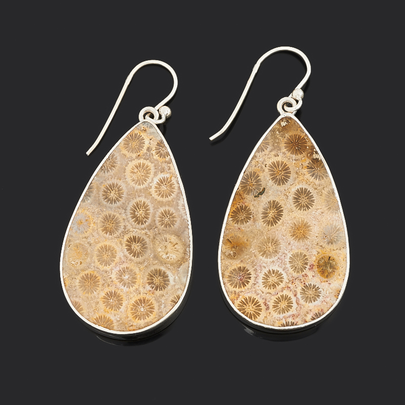 

Серьги коралл (серебро 925 пр.)