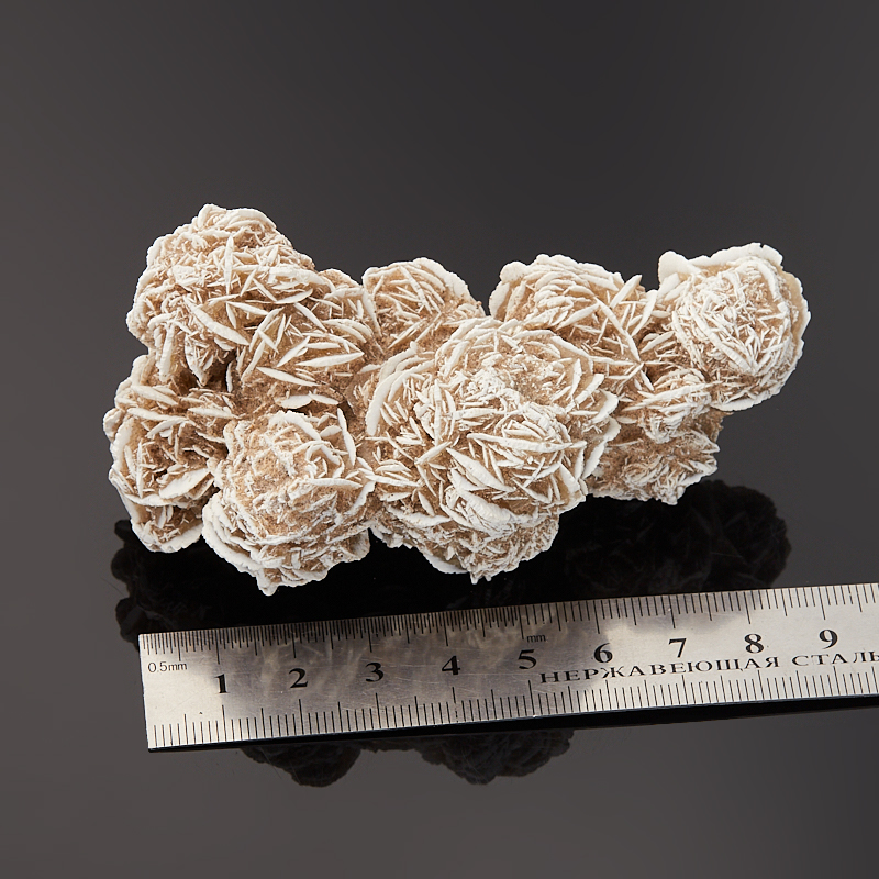 Образец пустынная роза Мексика M (7-12 см) (1 шт)