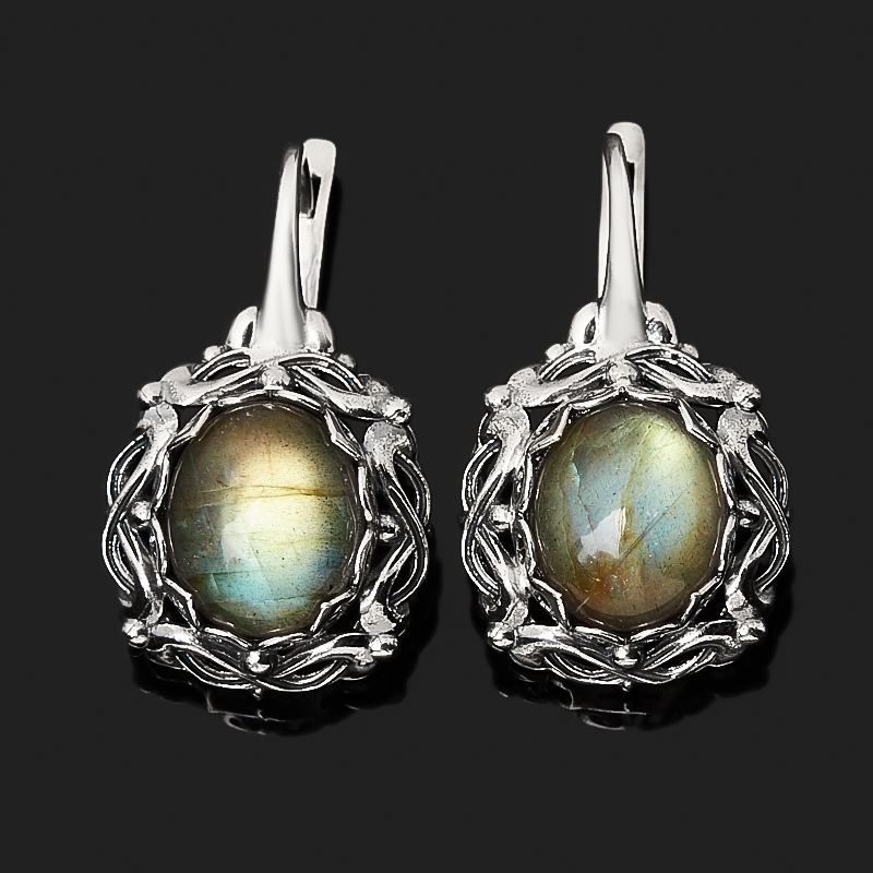 

Серьги лабрадор (серебро 925 пр. оксидир.)