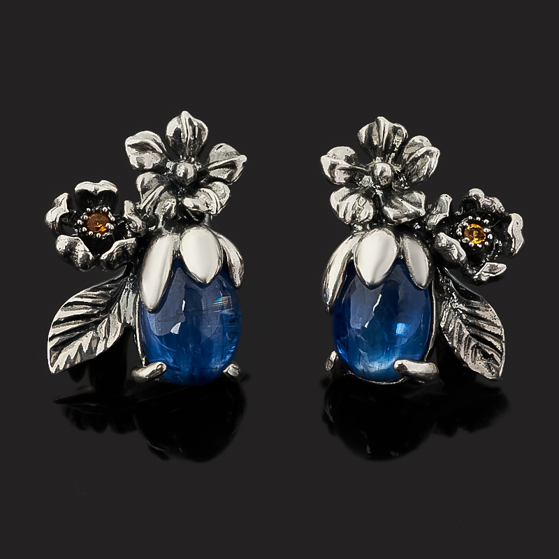 

Серьги кианит синий (серебро 925 пр. оксидир.)