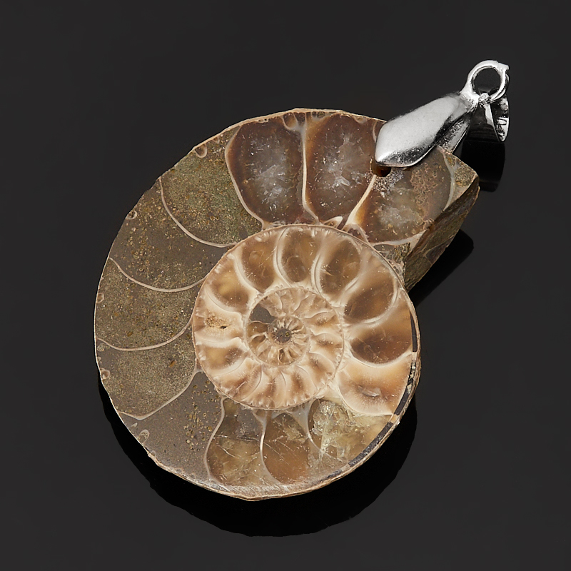 Кулон окаменелость Мадагаскар (биж. сплав) 4,5-5 см