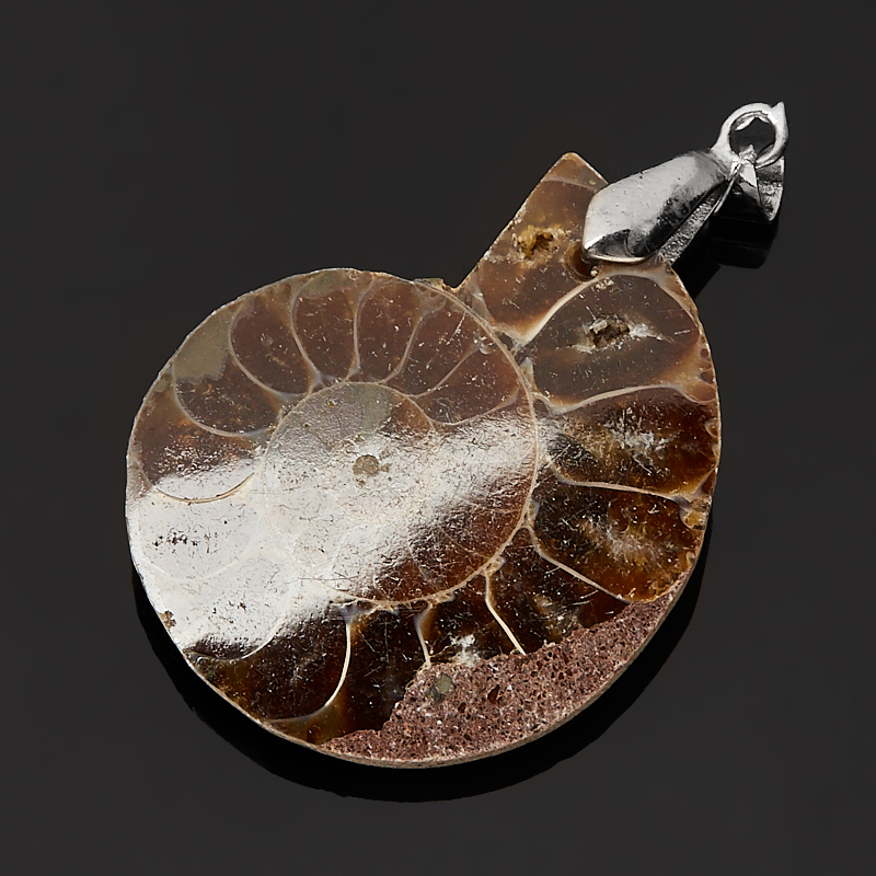 Кулон окаменелость Мадагаскар (биж. сплав) 4,5-5 см