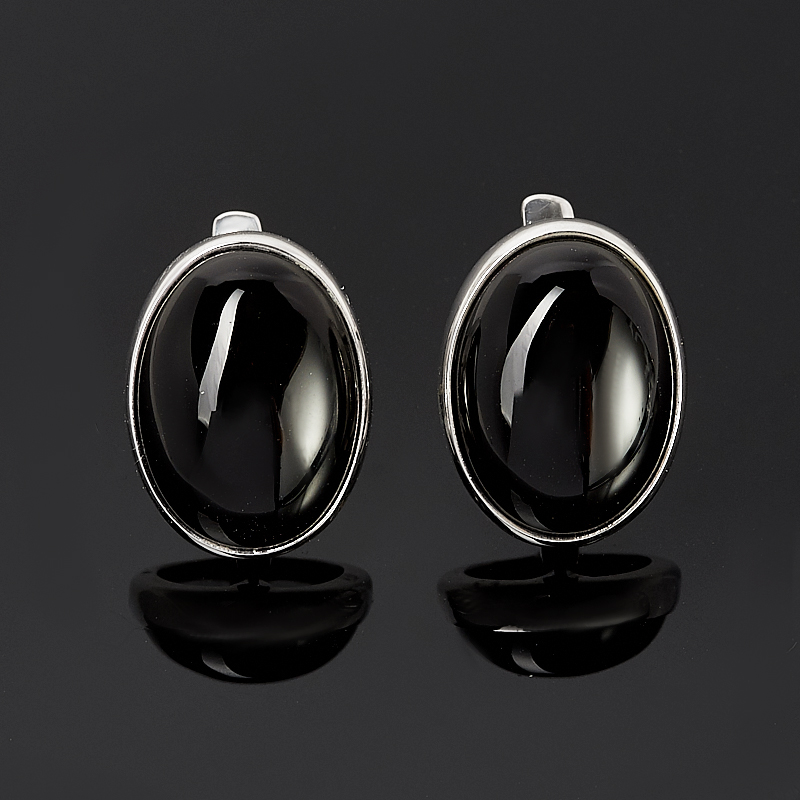 

Серьги агат черный (серебро 925 пр.)