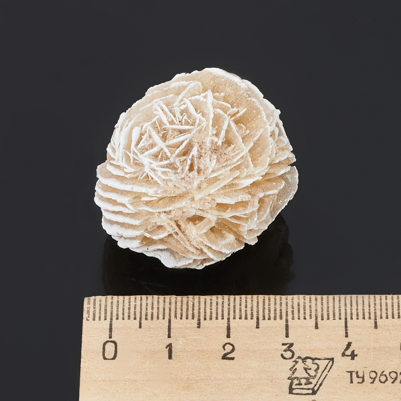 Образец пустынная роза Мексика XS (3-4 см) (1 шт)