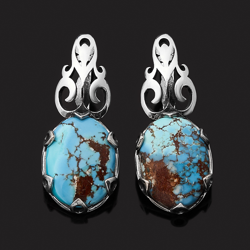 

Серьги бирюза (серебро 925 пр. оксидир.)