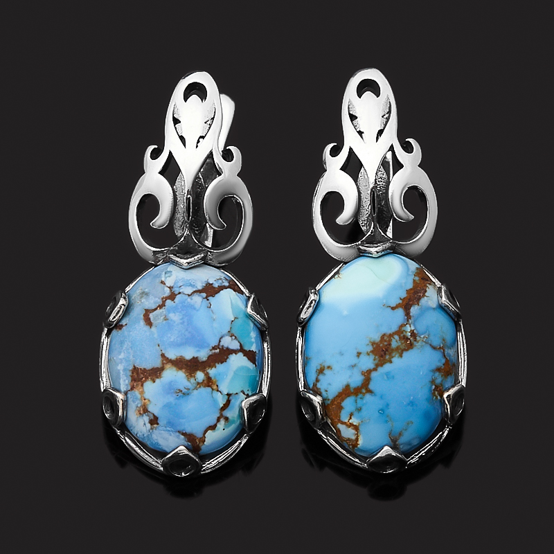 

Серьги бирюза (серебро 925 пр. оксидир.)