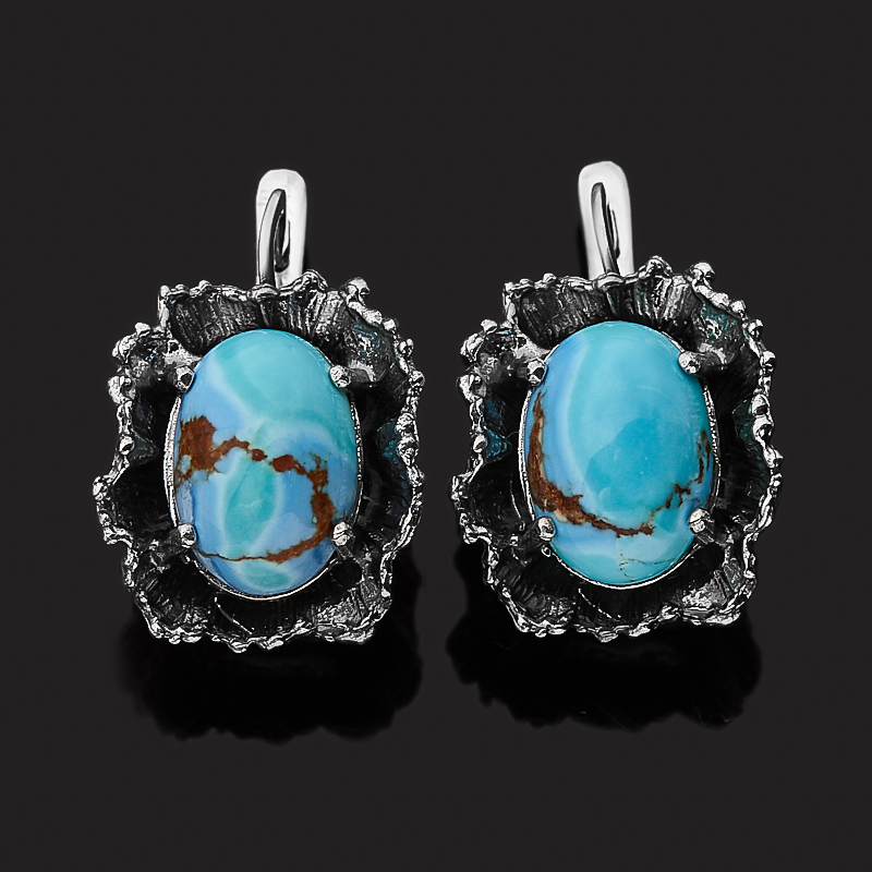 

Серьги бирюза (серебро 925 пр. оксидир.)